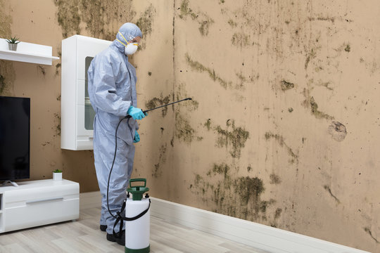 Mould from Returning After Remediation