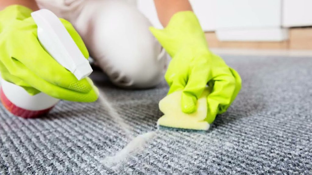 Stain and Odour Removal