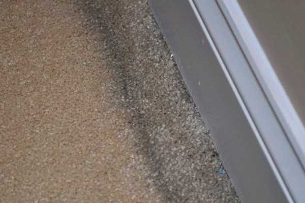 Carpet Mould Removal Australia