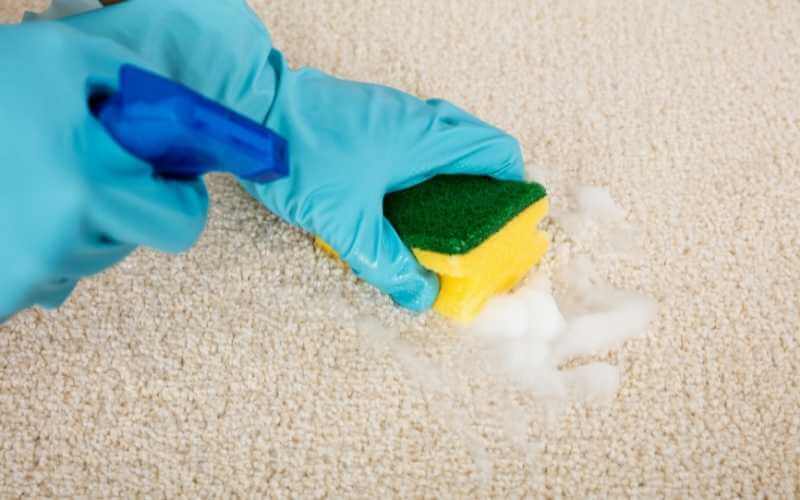 Carpet Sanitisation Australia