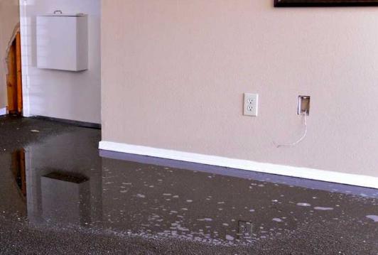 Carpet Water Damage Restoration