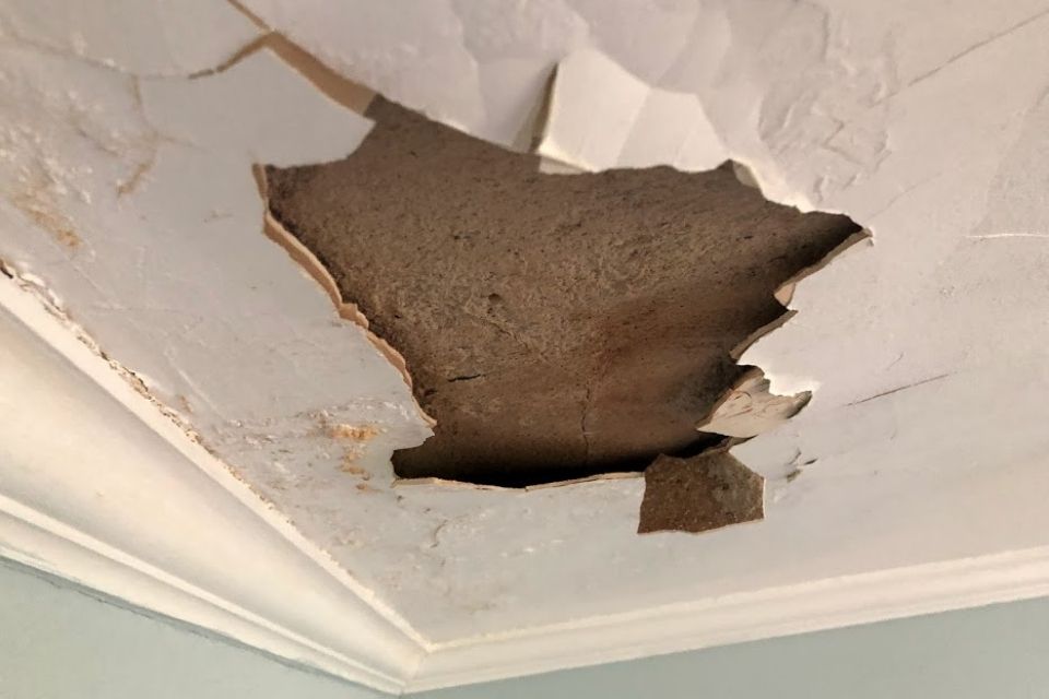 Ceiling Water Damage Repair