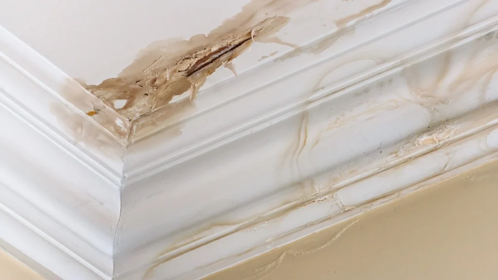 Wall Water Damage Repair Australia