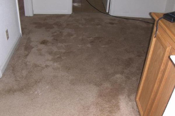 Wet carpet drying Australia